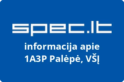 1A3P Palėpė, VŠĮ