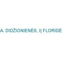 A. DIDŽIONIENĖS, IĮ FLORIDĖ