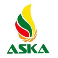 A. Sireikos krepšinio akademija, VŠĮ