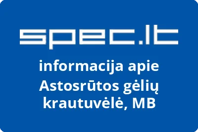 Astosrūtos gėlių krautuvėlė, MB | spec.lt