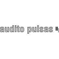 Audito pulsas, UAB