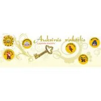 Auksinis Raktelis, Šiaulių Lopšelis-Darželis | spec.lt