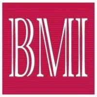 BMI Alumni Executive Club
