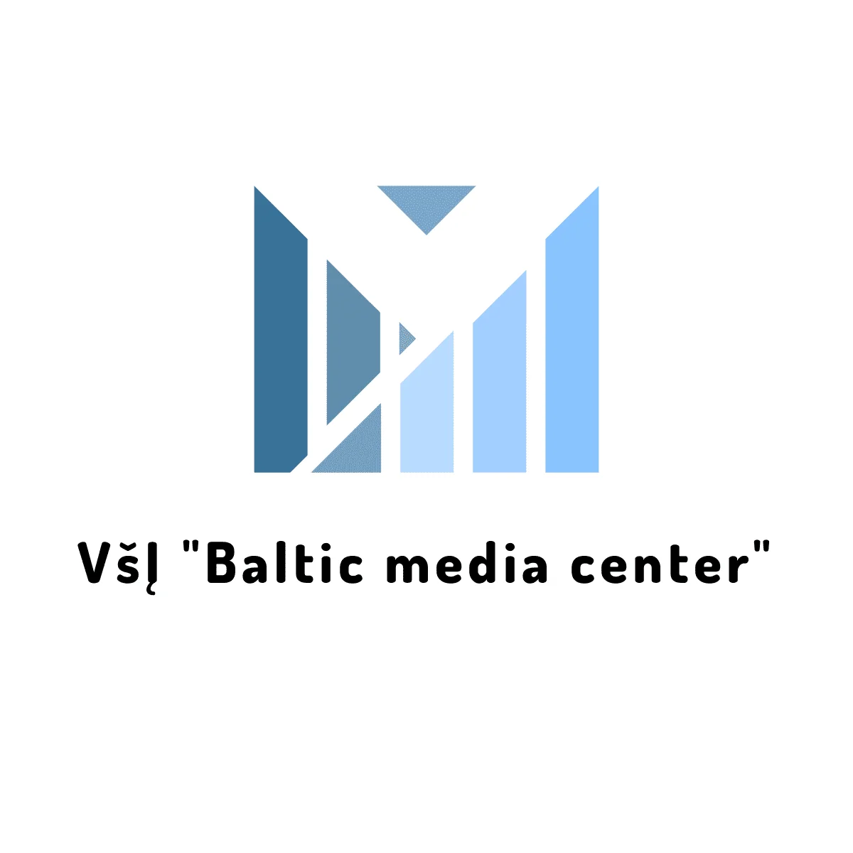 Baltic media center, VšĮ