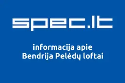 Bendrija Pelėdų loftai iliustracija
