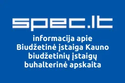 Biudžetinė įstaiga Kauno biudžetinių įstaigų buhalterinė apskaita | spec.lt