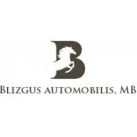 Blizgus automobilis, MB | spec.lt