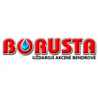 UŽDAROJI AKCINĖ BENDROVĖ BORUSTA