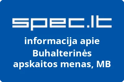 Buhalterinės apskaitos menas, MB | spec.lt