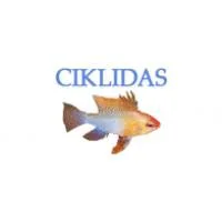 Ciklidas, Parduotuvė, V. Valentinavičiaus, IĮ