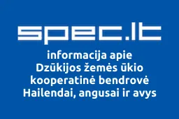 Dzūkijos žemės ūkio kooperatinė bendrovė Hailendai, angusai ir avys iliustracija