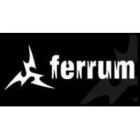 Ferrum Muzikos Projektai | spec.lt