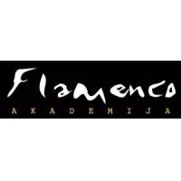 FLAMENCO AKADEMIJA, VŠĮ