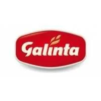 Galinta ir partneriai, UAB