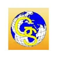 Gintarinė Svajonė, VŠĮ