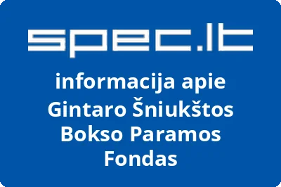 Gintaro Šniukštos bokso paramos fondas