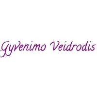 GYVENIMO VEIDRODIS, UAB