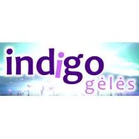 INDIGO GĖLĖS, UAB