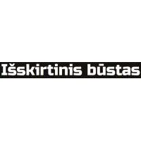 Išskirtinio būsto statyba, UAB