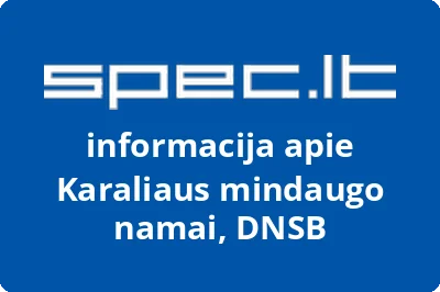 KARALIAUS MINDAUGO NAMAI, DNSB