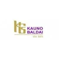 Kauno baldai, AB