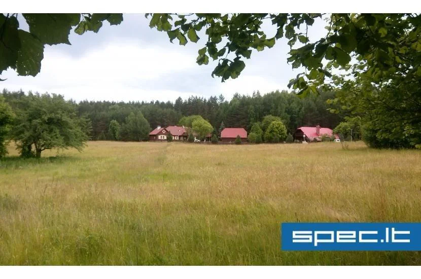 Knioisis, IĮ | spec.lt