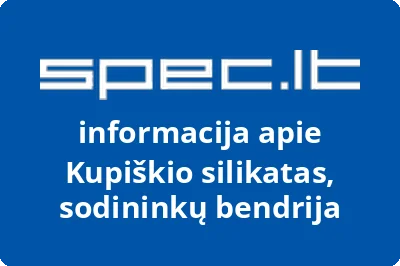 Kupiškio silikatas, sodininkų bendrija