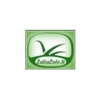 Kūrėjų Klubas Žaliažolė | spec.lt