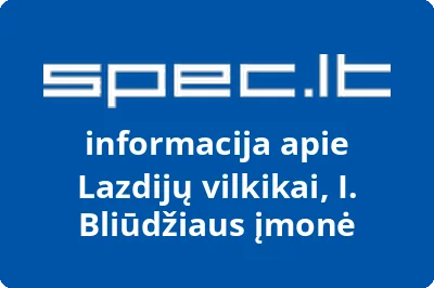 Lazdijų vilkikai, I. Bliūdžiaus įmonė
