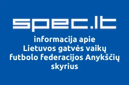 Lietuvos gatvės vaikų futbolo federacijos Anykščių skyrius | spec.lt