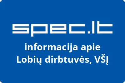 Lobių dirbtuvės, VŠĮ