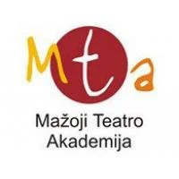 Mažoji teatro akademija, VŠĮ