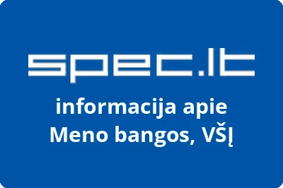 Meno bangos, VŠĮ