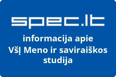 Meno ir saviraiškos studija, VŠĮ