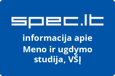 Meno ir ugdymo studija, VŠĮ