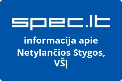 Netylančios stygos, VŠĮ