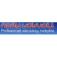 Valdo Rudaičio Noriu vairuoti, IĮ