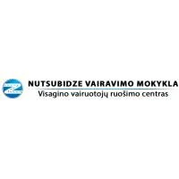 NUTSUBIDZE VAIRAVIMO MOKYKLA, IĮ