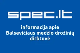 Balsevičiaus medžio drožinių dirbtuvė | spec.lt