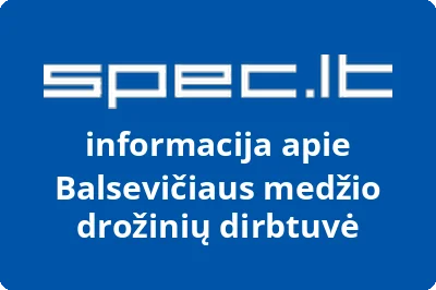 Balsevičiaus medžio drožinių dirbtuvė