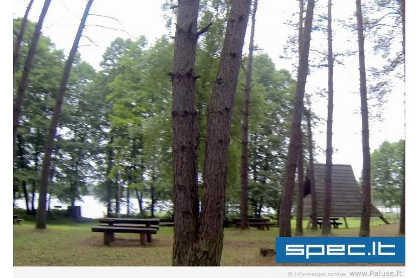 PALŪŠĖ, turizmo centras, VšĮ | spec.lt