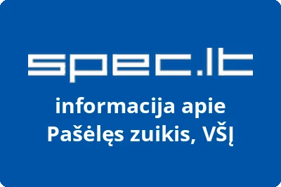 Pašėlęs zuikis, VŠĮ | spec.lt
