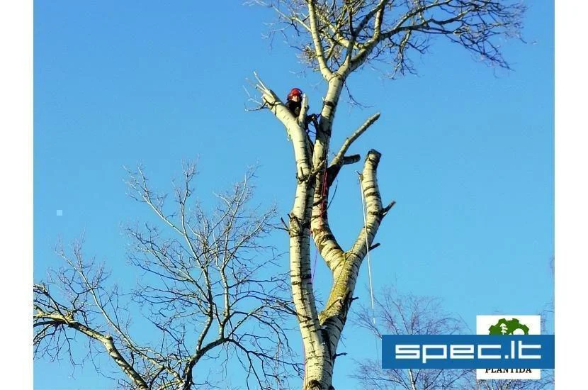 Plantida, UAB | spec.lt