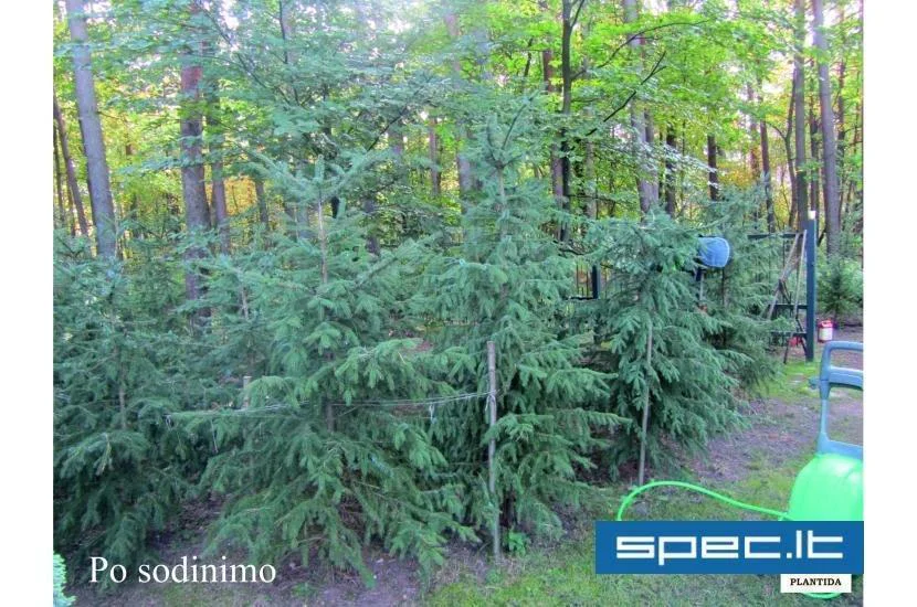 Plantida, UAB | spec.lt