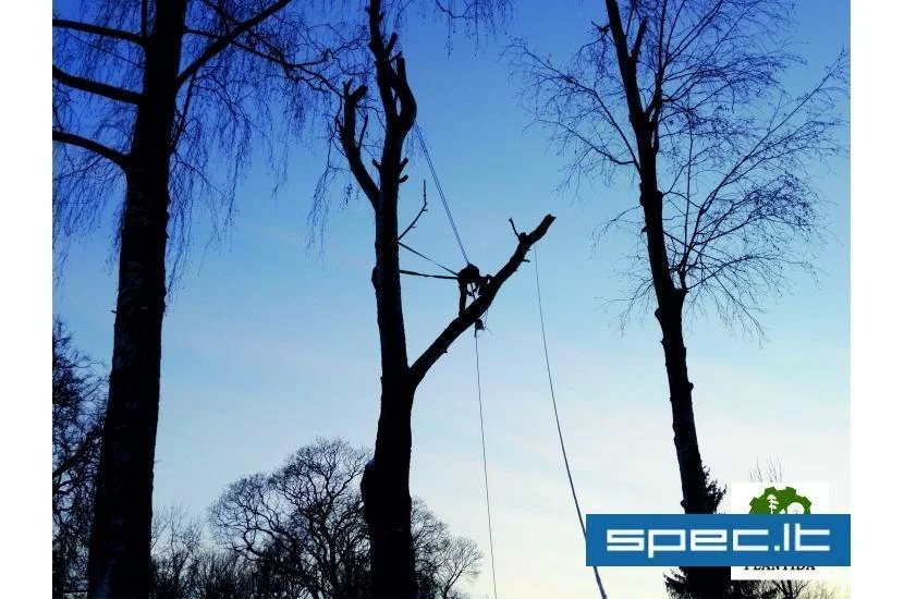 Plantida, UAB | spec.lt