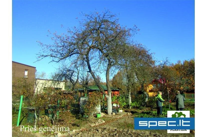 Plantida, UAB | spec.lt