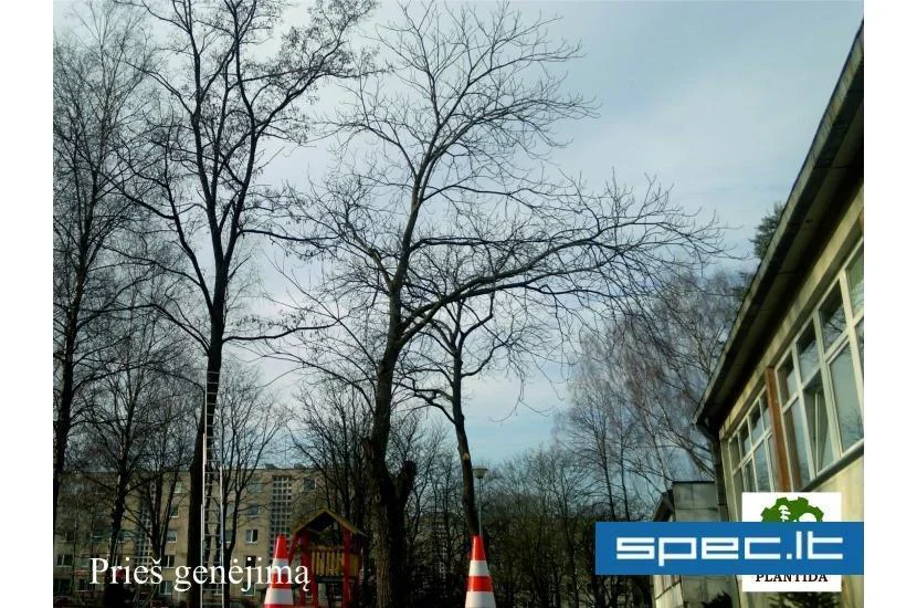 Plantida, UAB | spec.lt