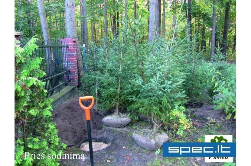 Plantida, UAB | spec.lt