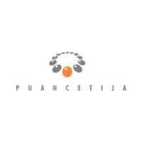 N. Gulbinauskaitės įmonė PUANCETIJA | spec.lt