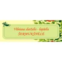 Šermukšnėlė, Vilniaus Lopšelis - Darželis